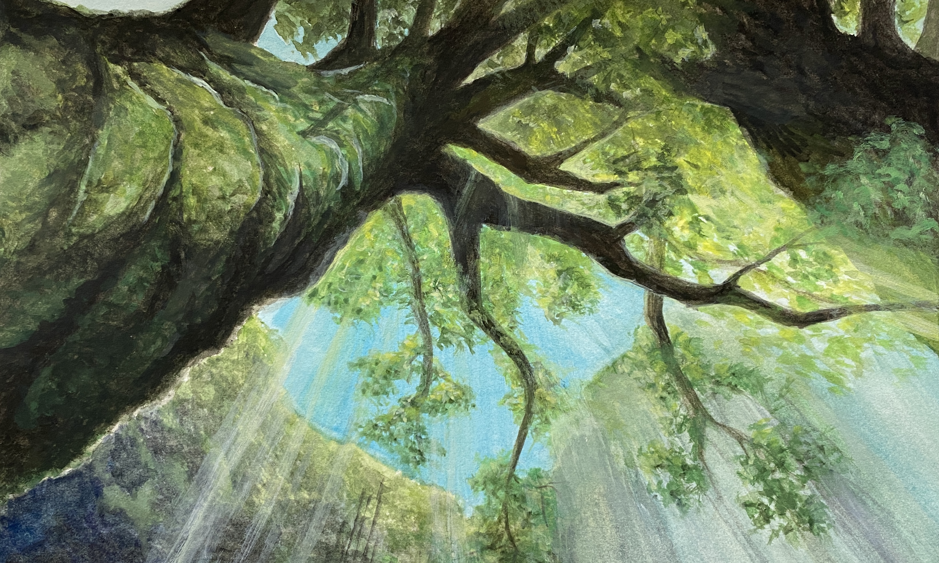 Princess Mononoke komorebi